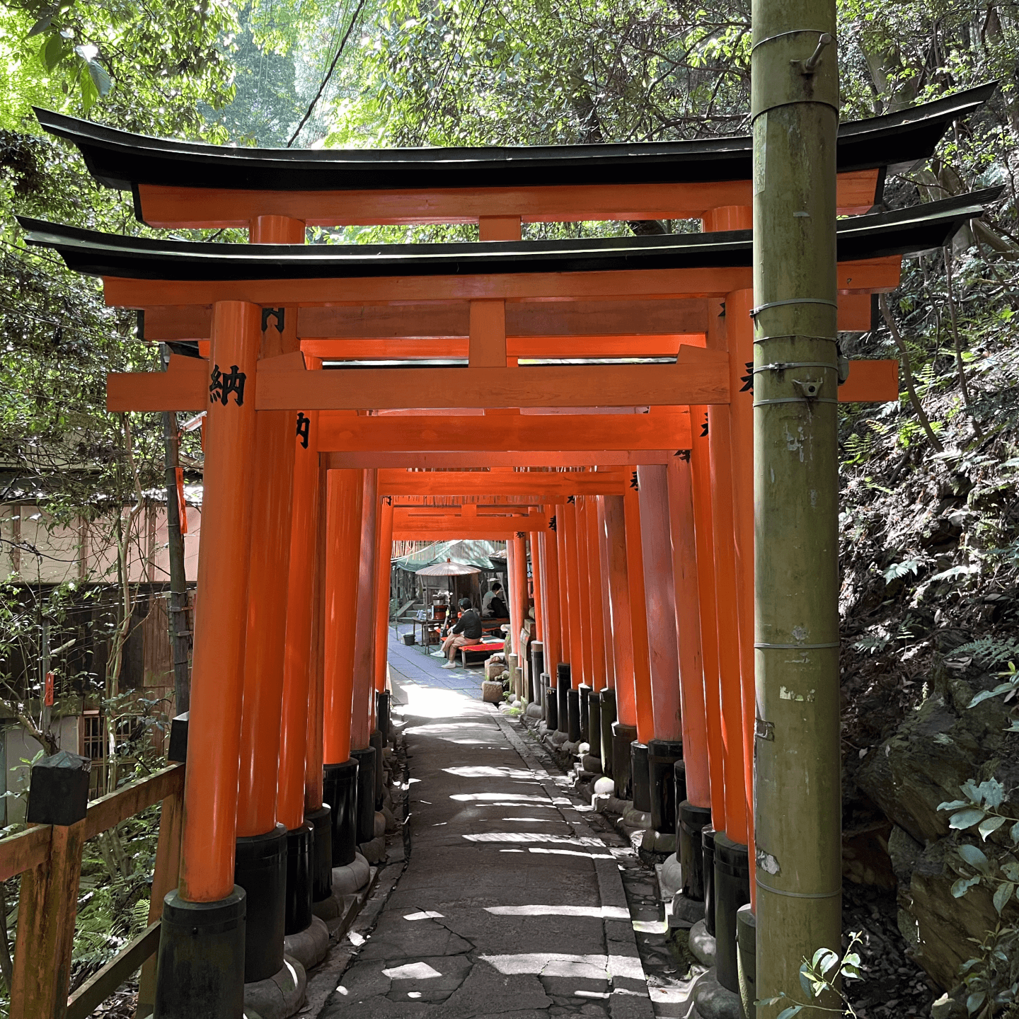 Torii of Fushimi Inari