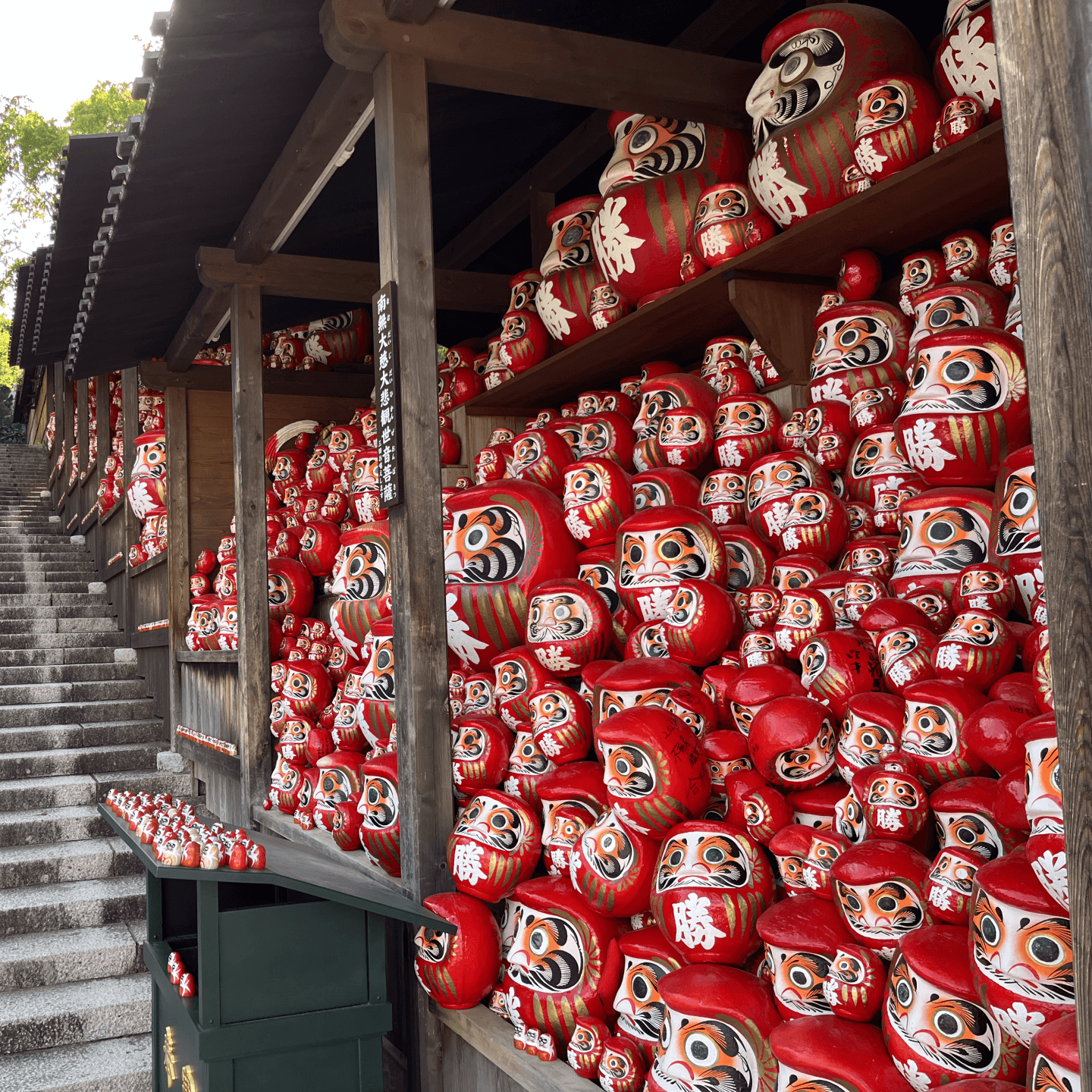 Daruma of Katsuo-ji