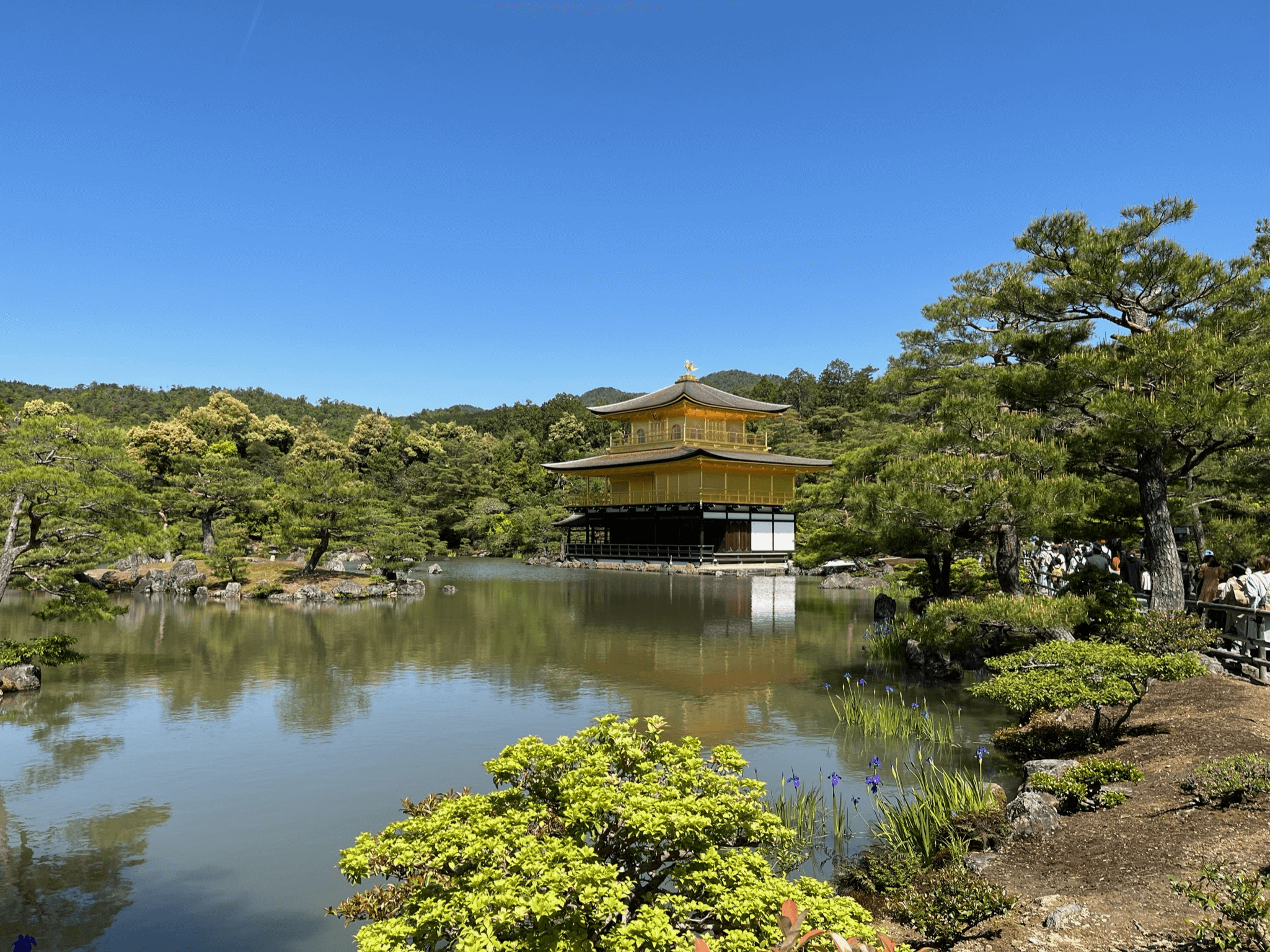 Kinkaku-ji Temple