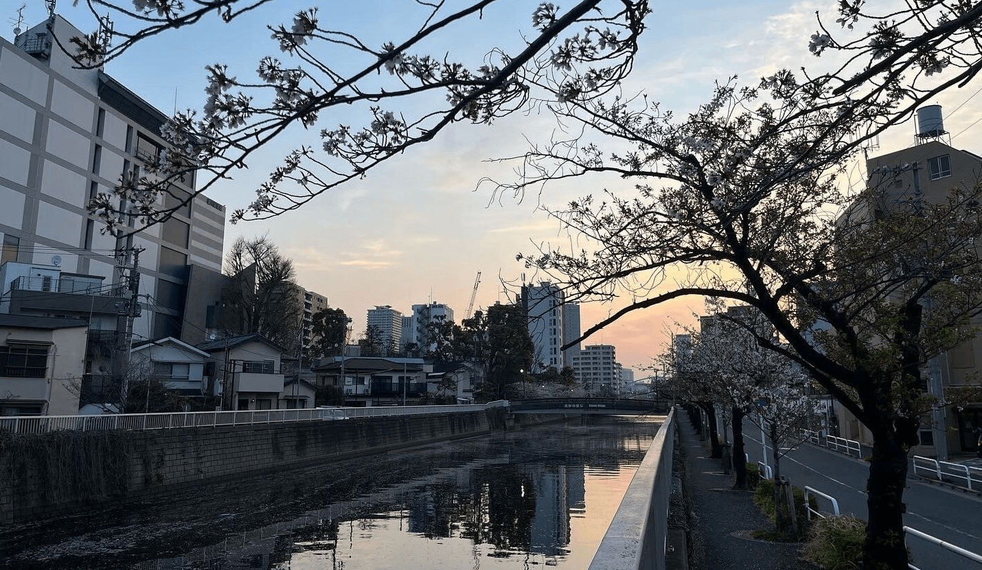 Sunset on the Meguro River