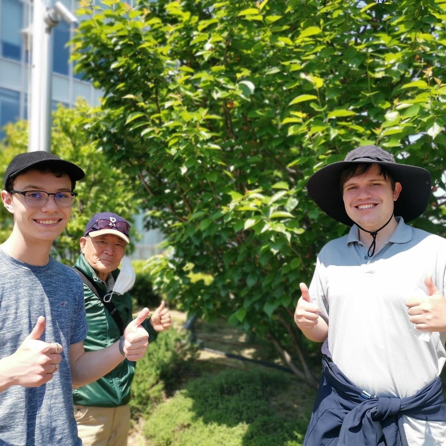 Osaka Tour Group